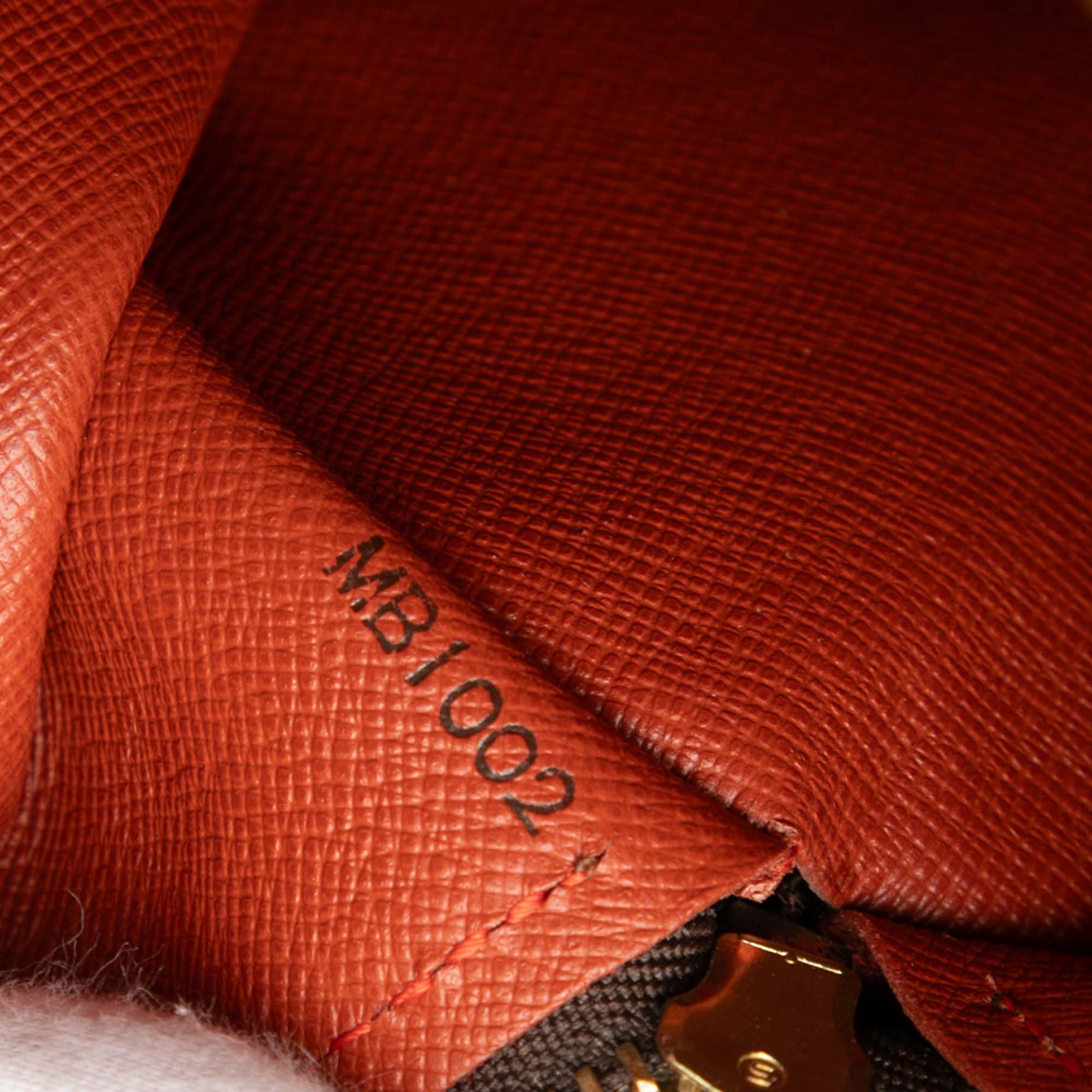 Louis Vuitton Damier Ebene Papillon 30 Brown