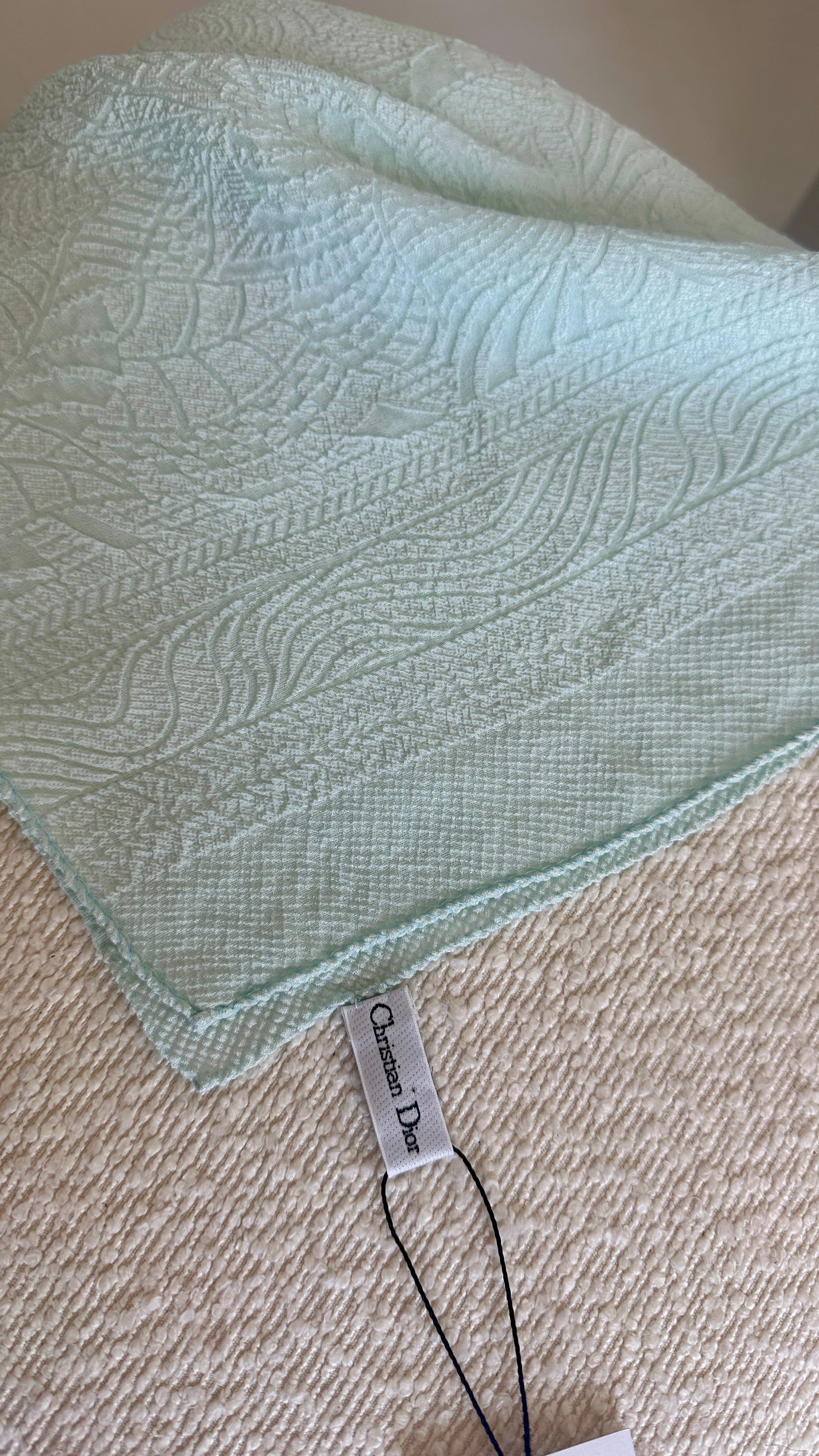 Christian Dior Textured Silk Scarf In Blue