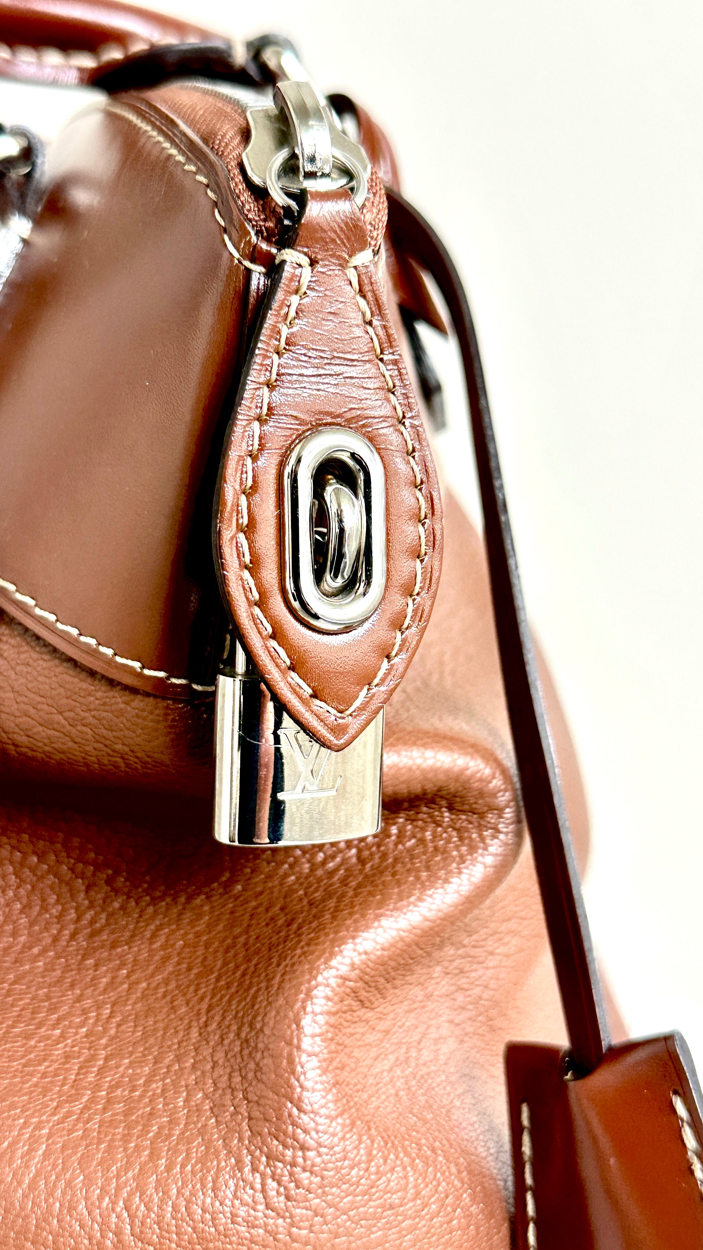 LOUIS VUITTON SIENNE SUHALI LEATHER PM BAG IN BROWN