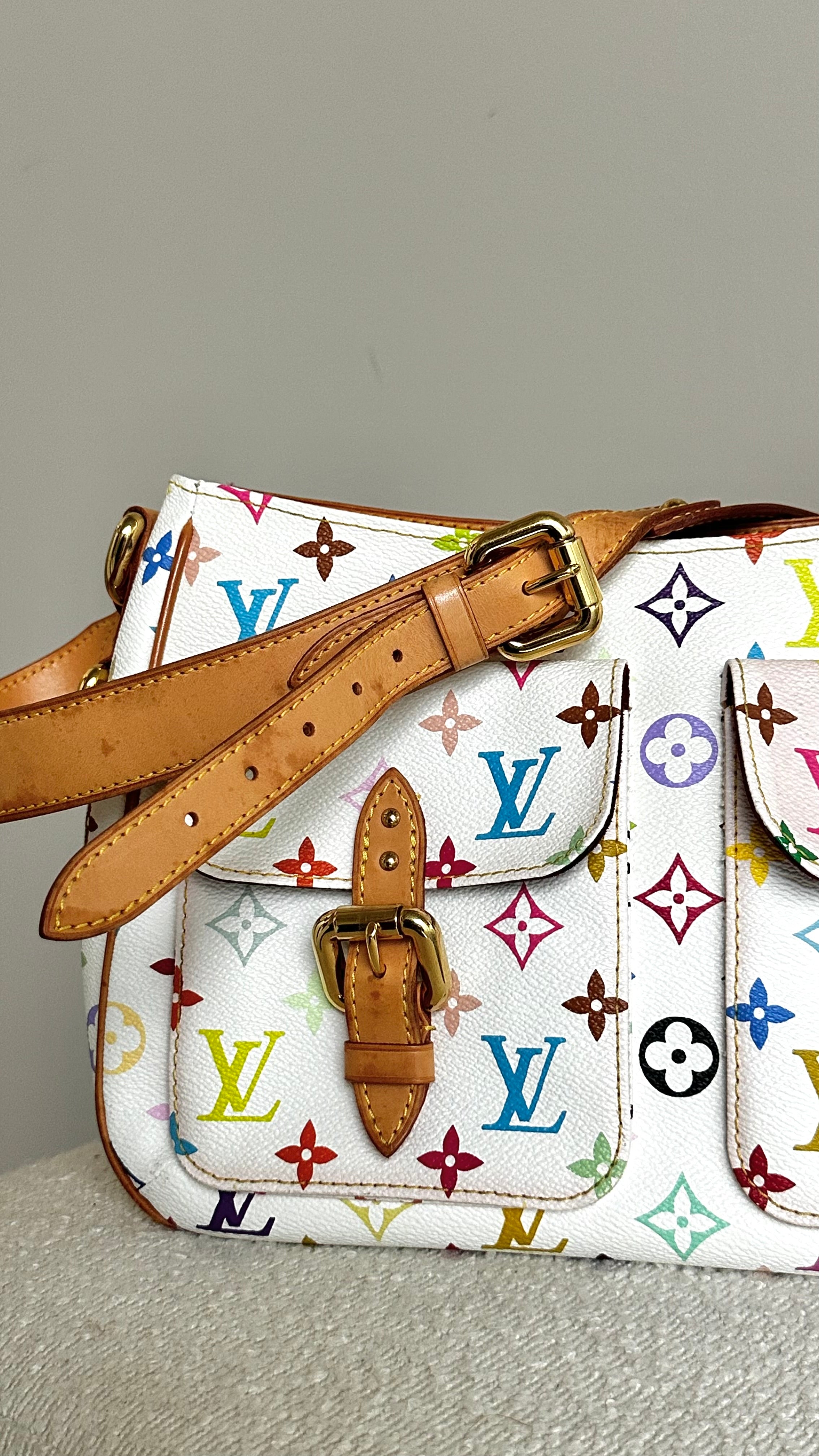 Louis Vuitton Lodge Gm Multicolore With Dust Bag