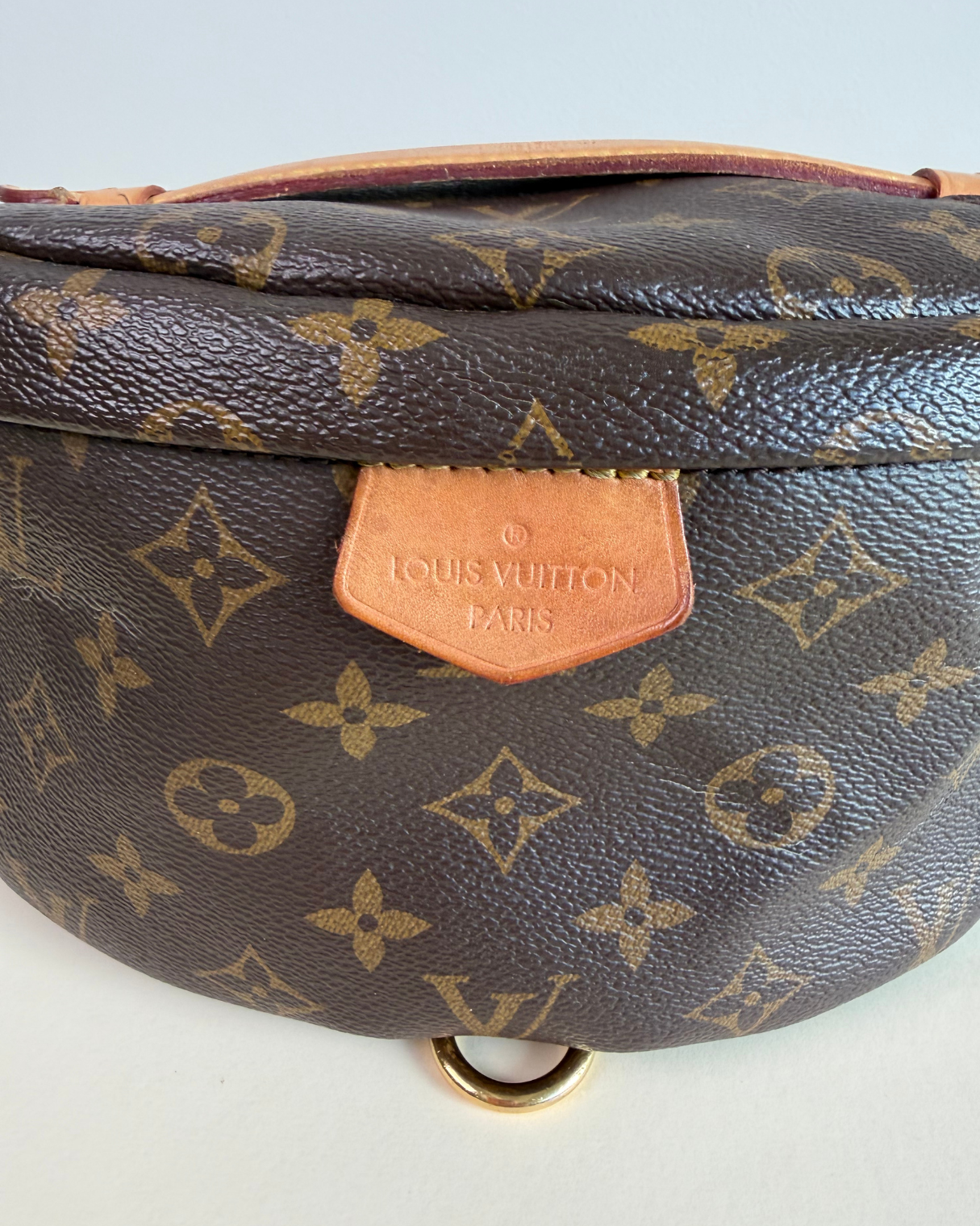 Louis Vuitton Monogram Bumbag