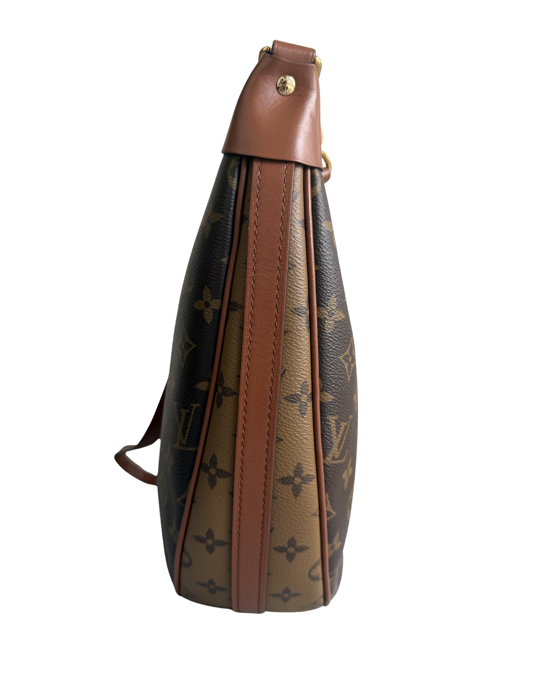 Louis Vuitton Loop Hobo