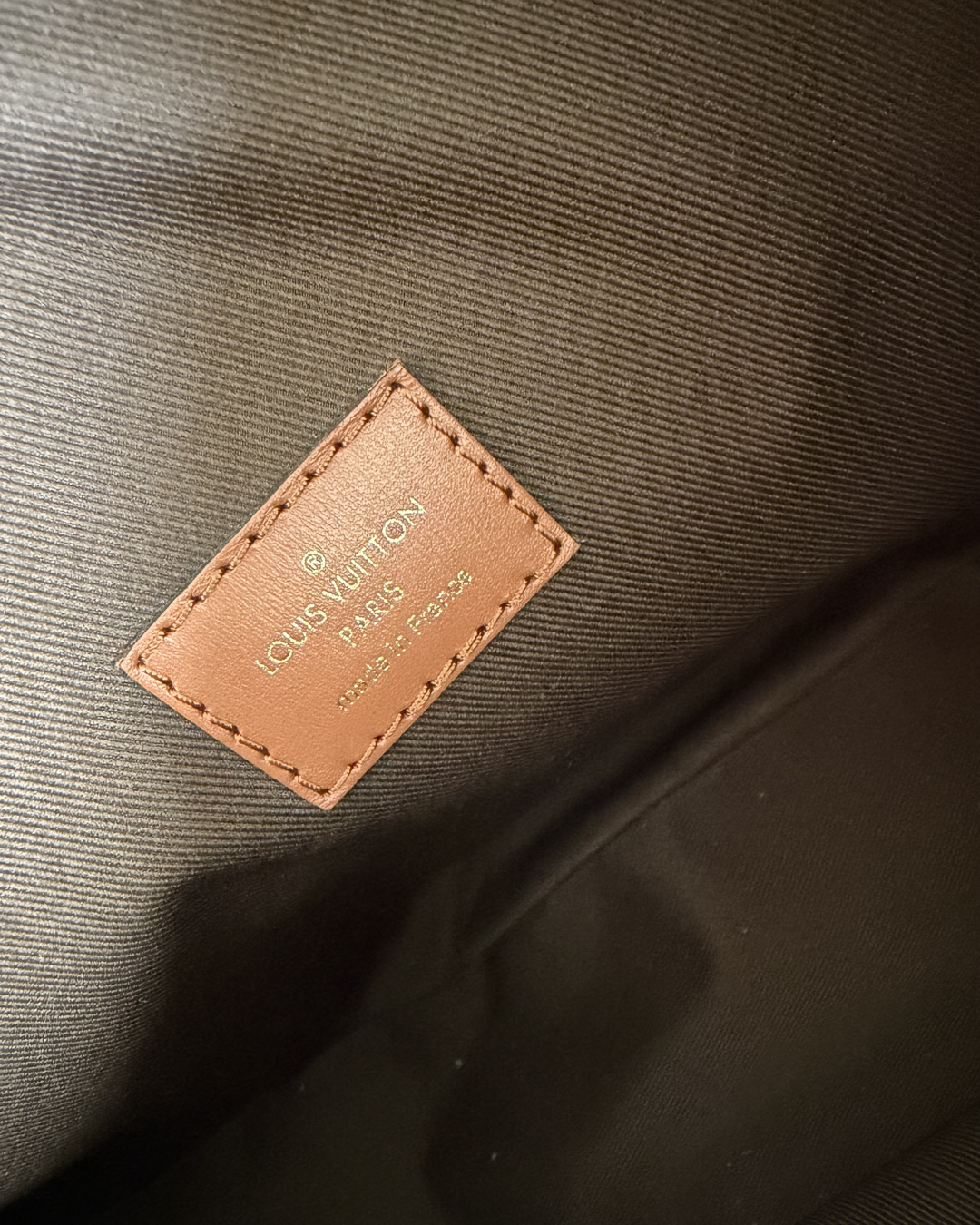 Louis Vuitton Loop Hobo