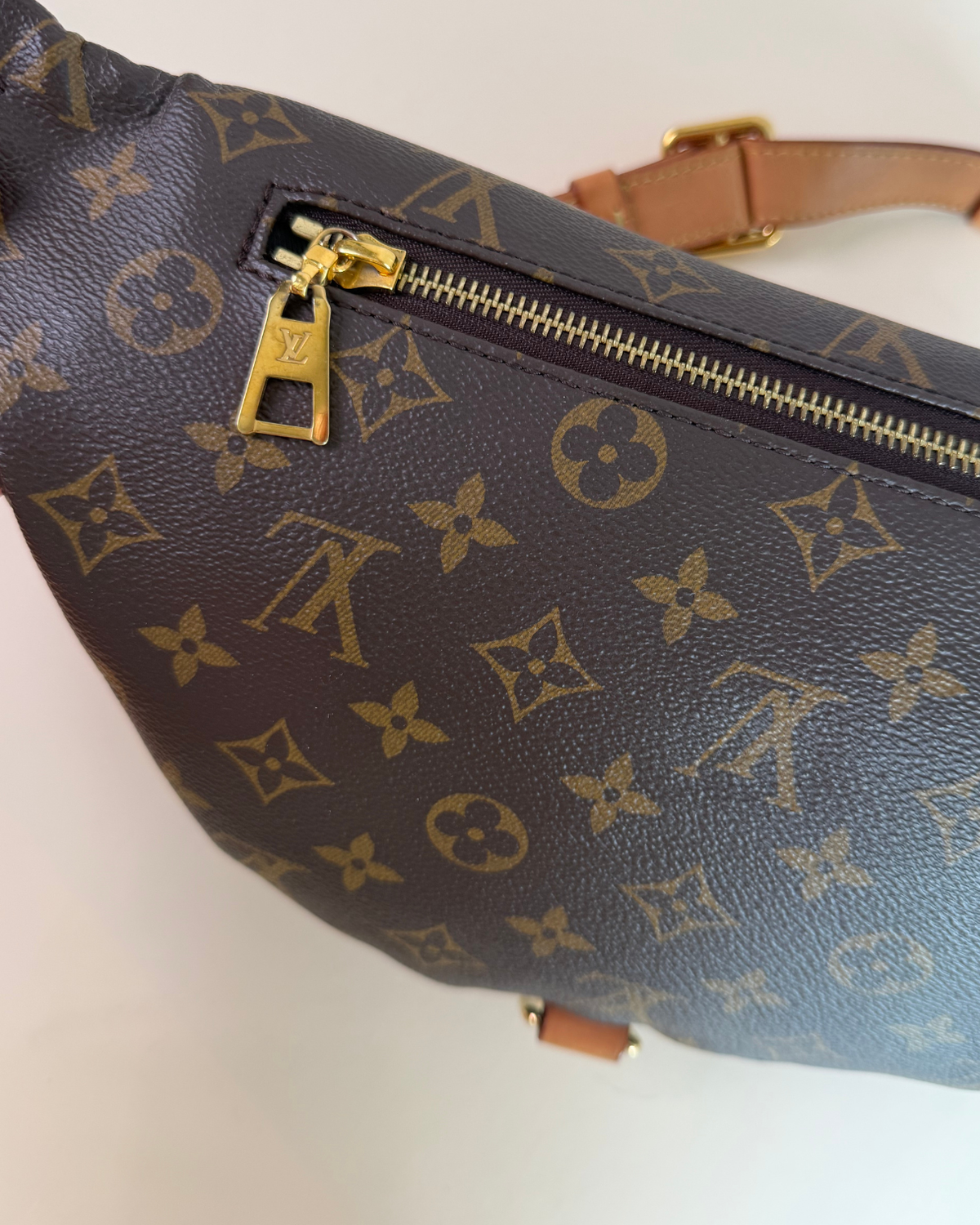 Louis Vuitton Monogram Bumbag