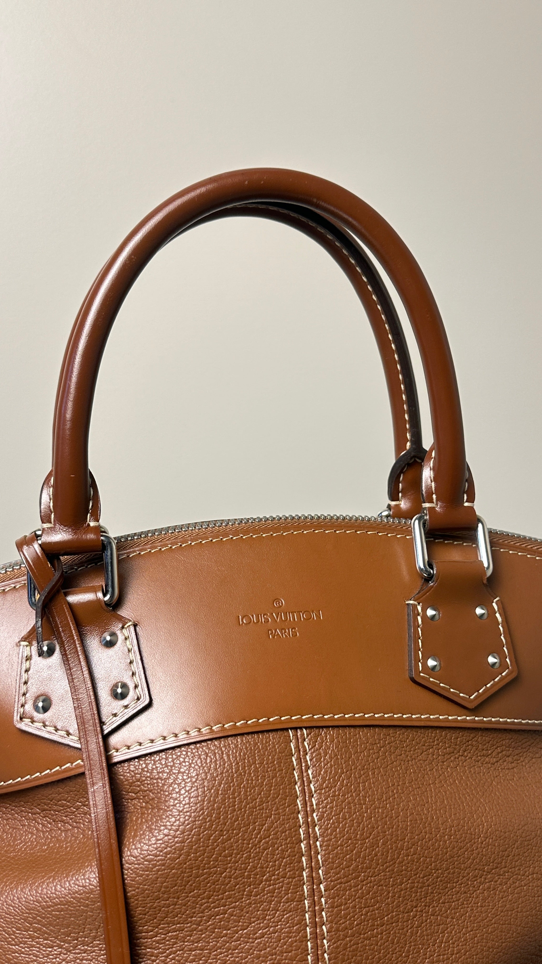 LOUIS VUITTON SIENNE SUHALI LEATHER PM BAG IN BROWN