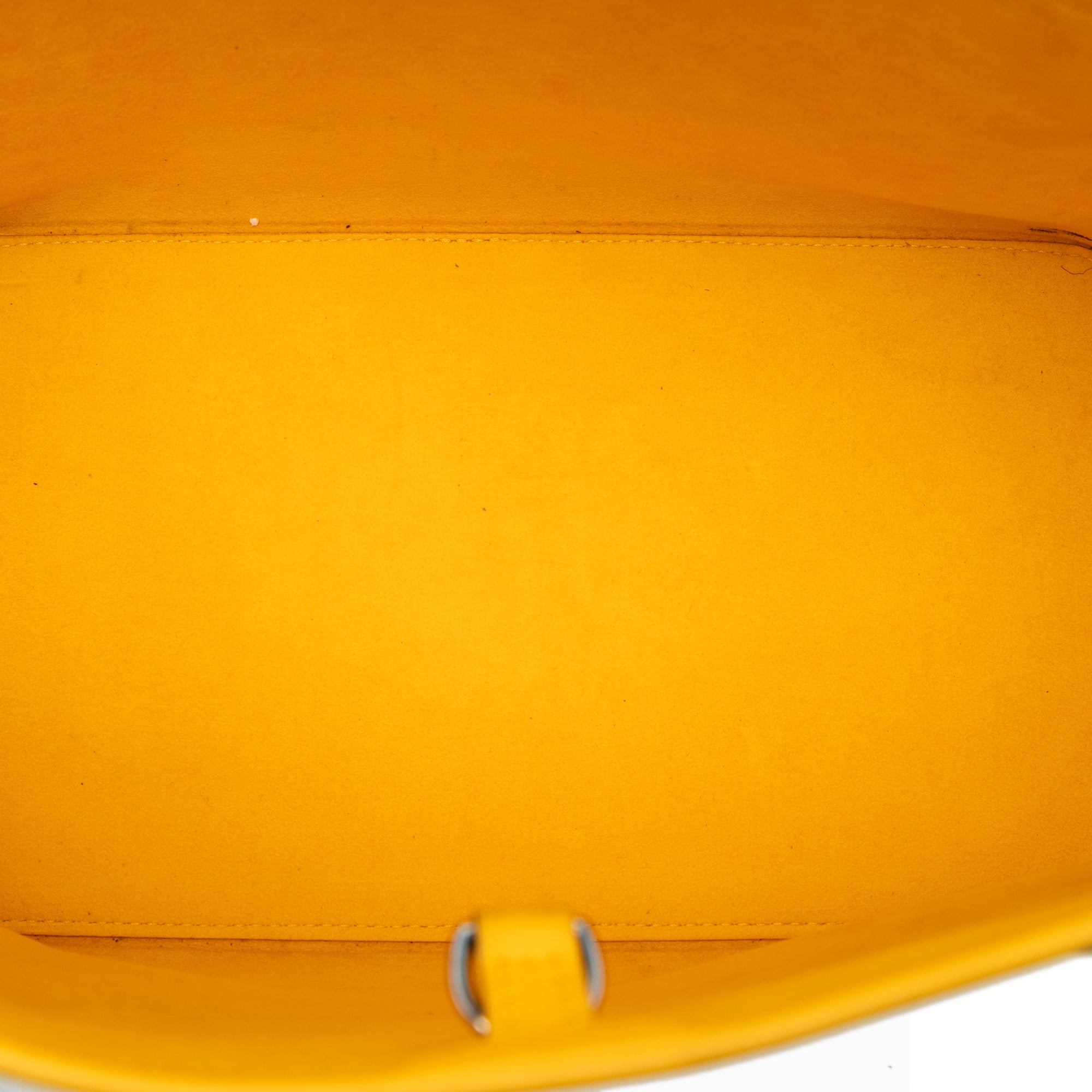 Louis Vuitton Epi Neverfull MM Yellow