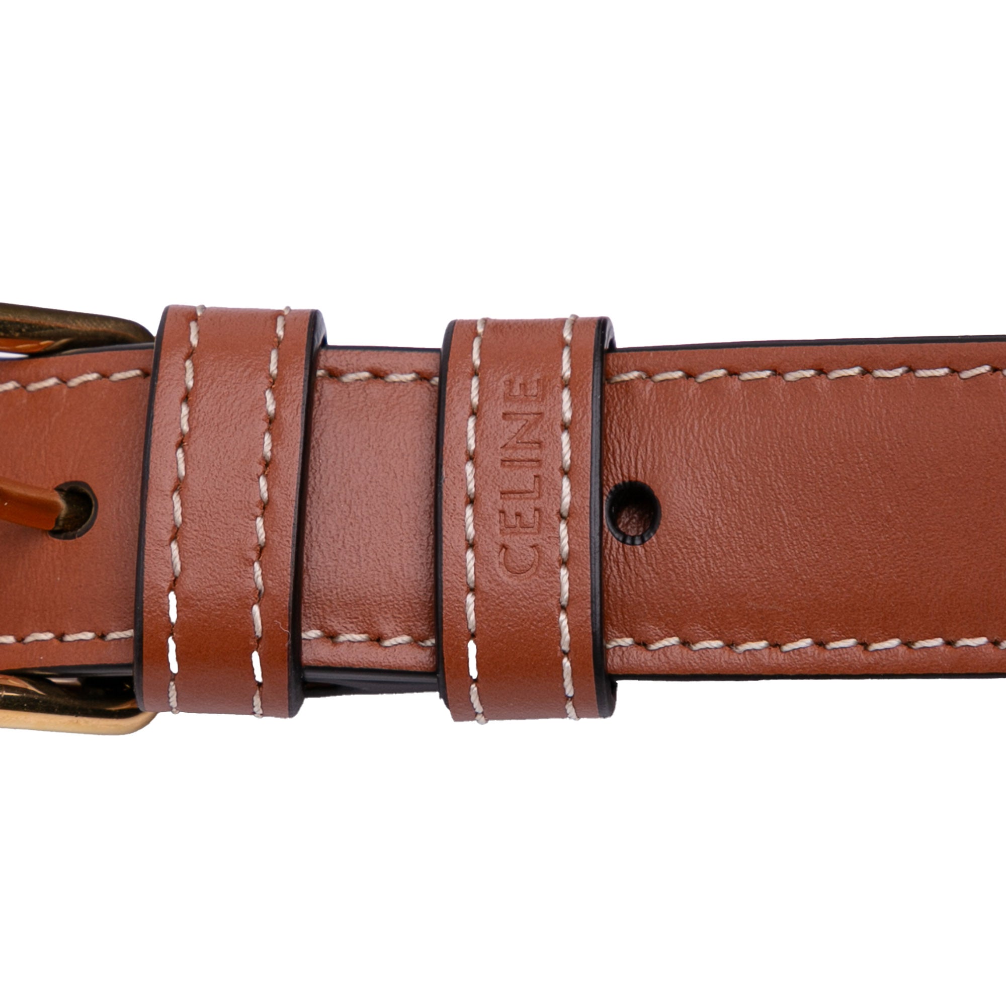 Celine Classique Triomphe Coated Canvas and Calfskin Triomphe Crossbody