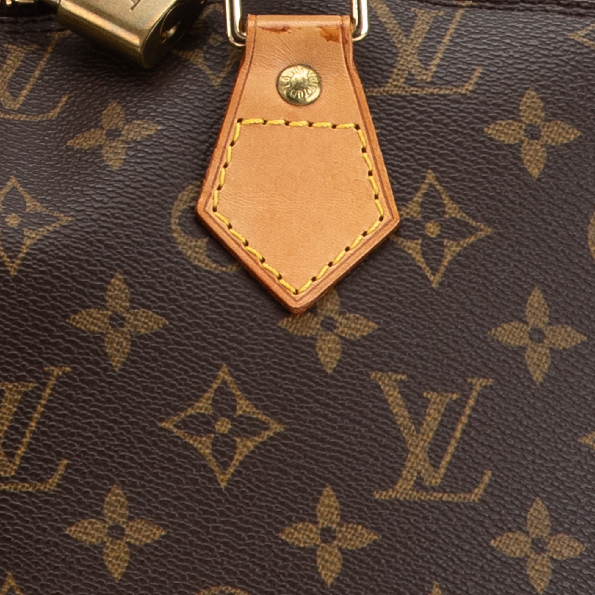 Louis Vuitton Monogram Alma PM In Brown