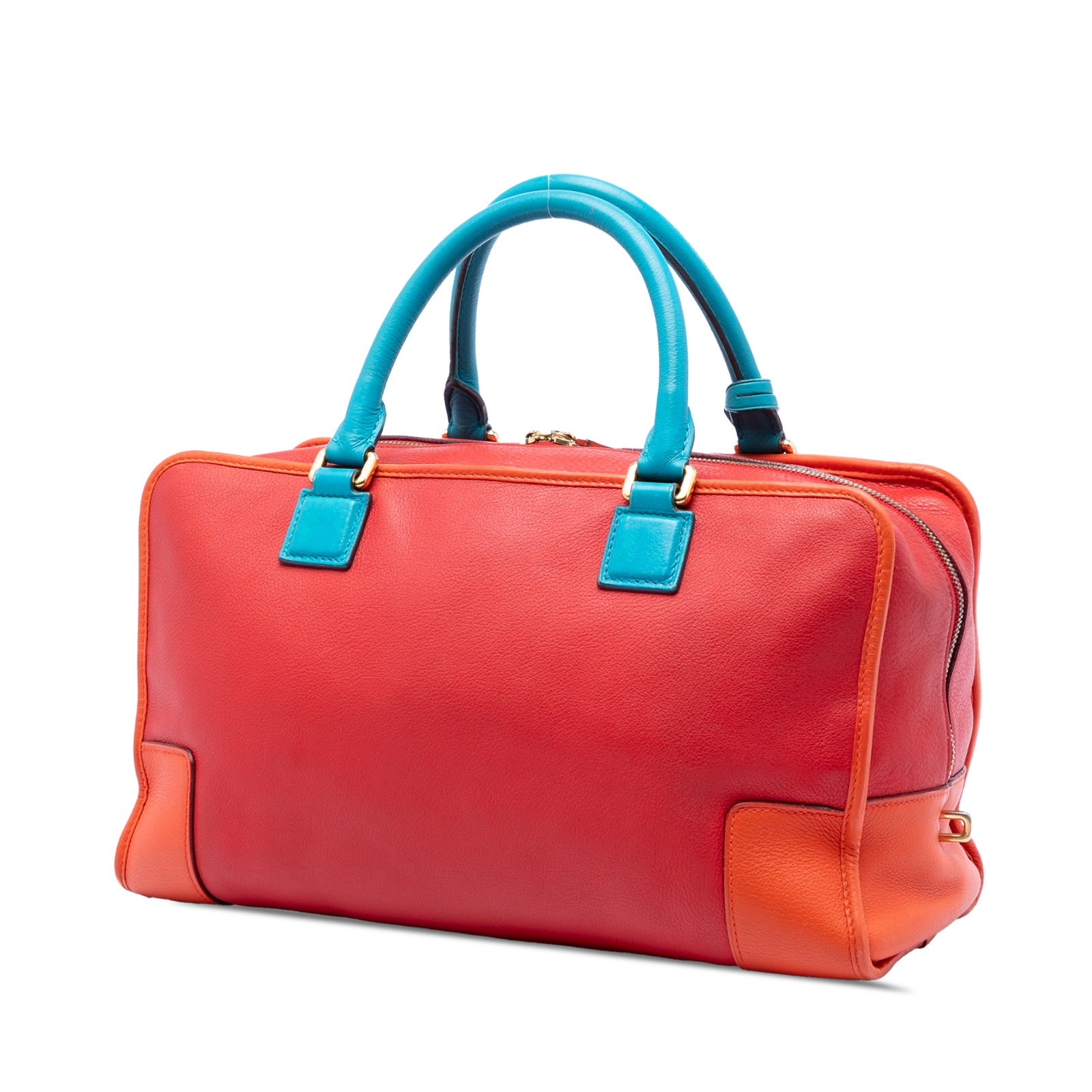 Tricolor Leather Amazona