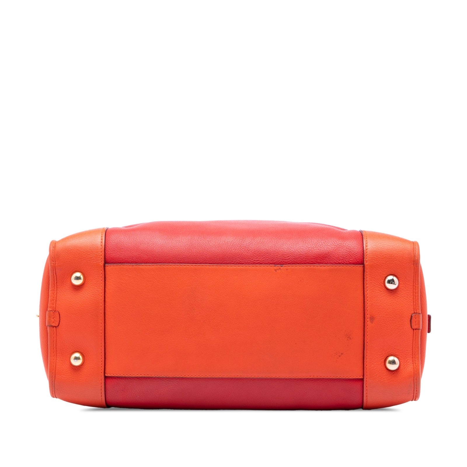 Tricolor Leather Amazona