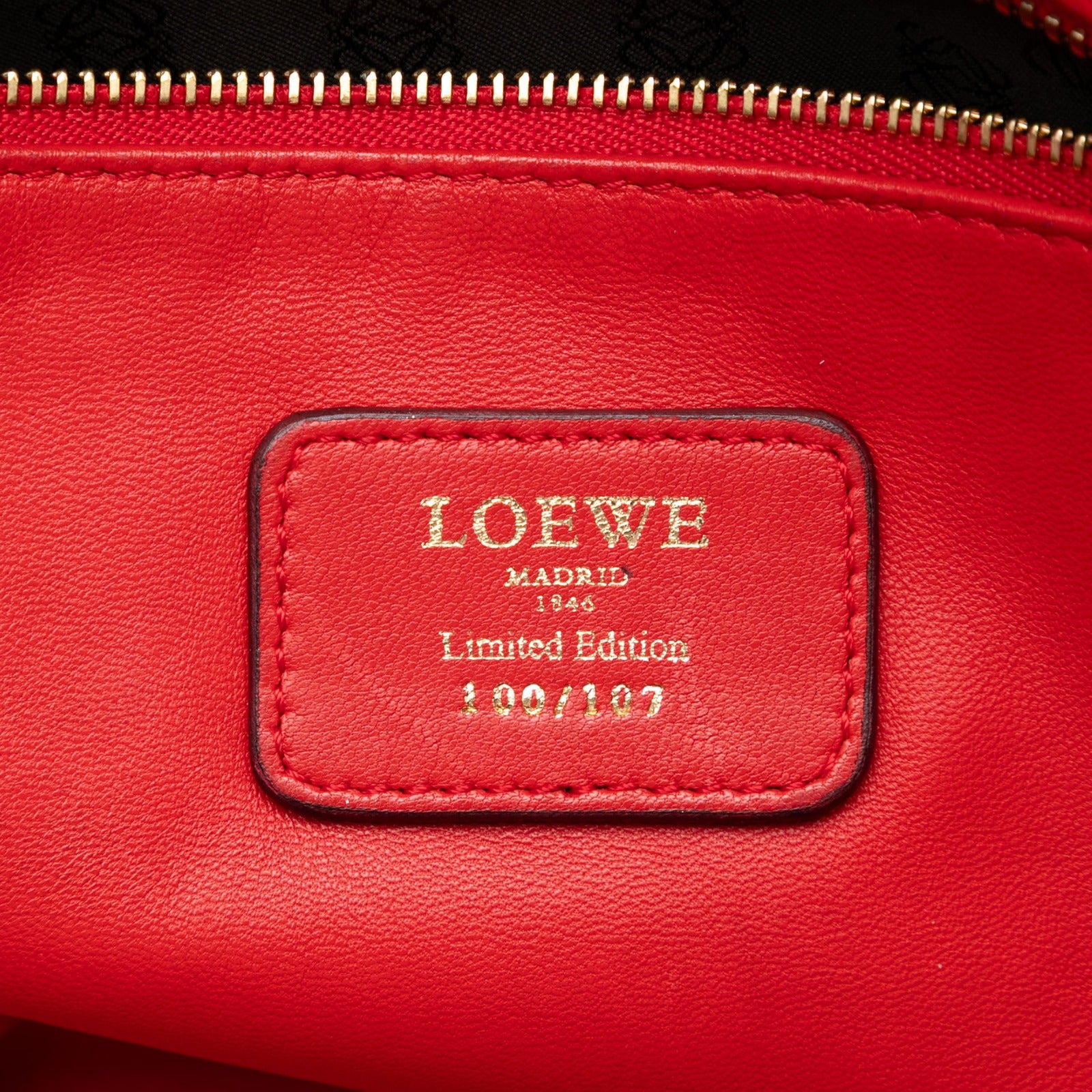 Tricolor Leather Amazona