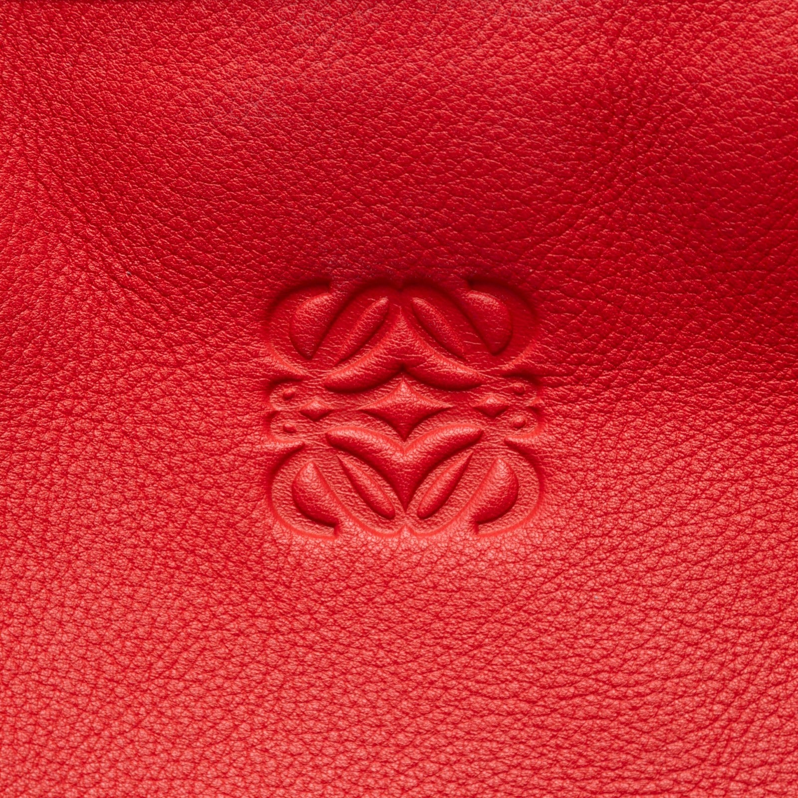 Tricolor Leather Amazona