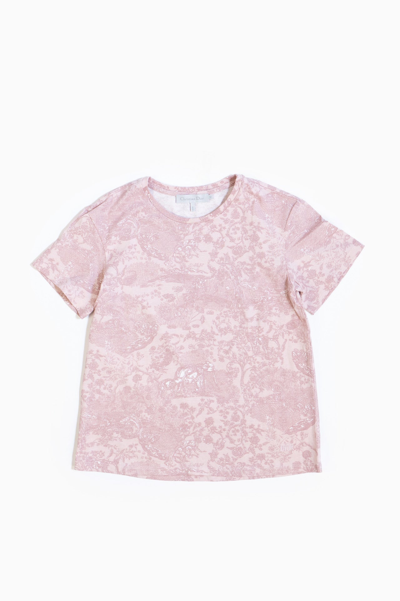 Christian Dior Printed T-Shirt In Pink