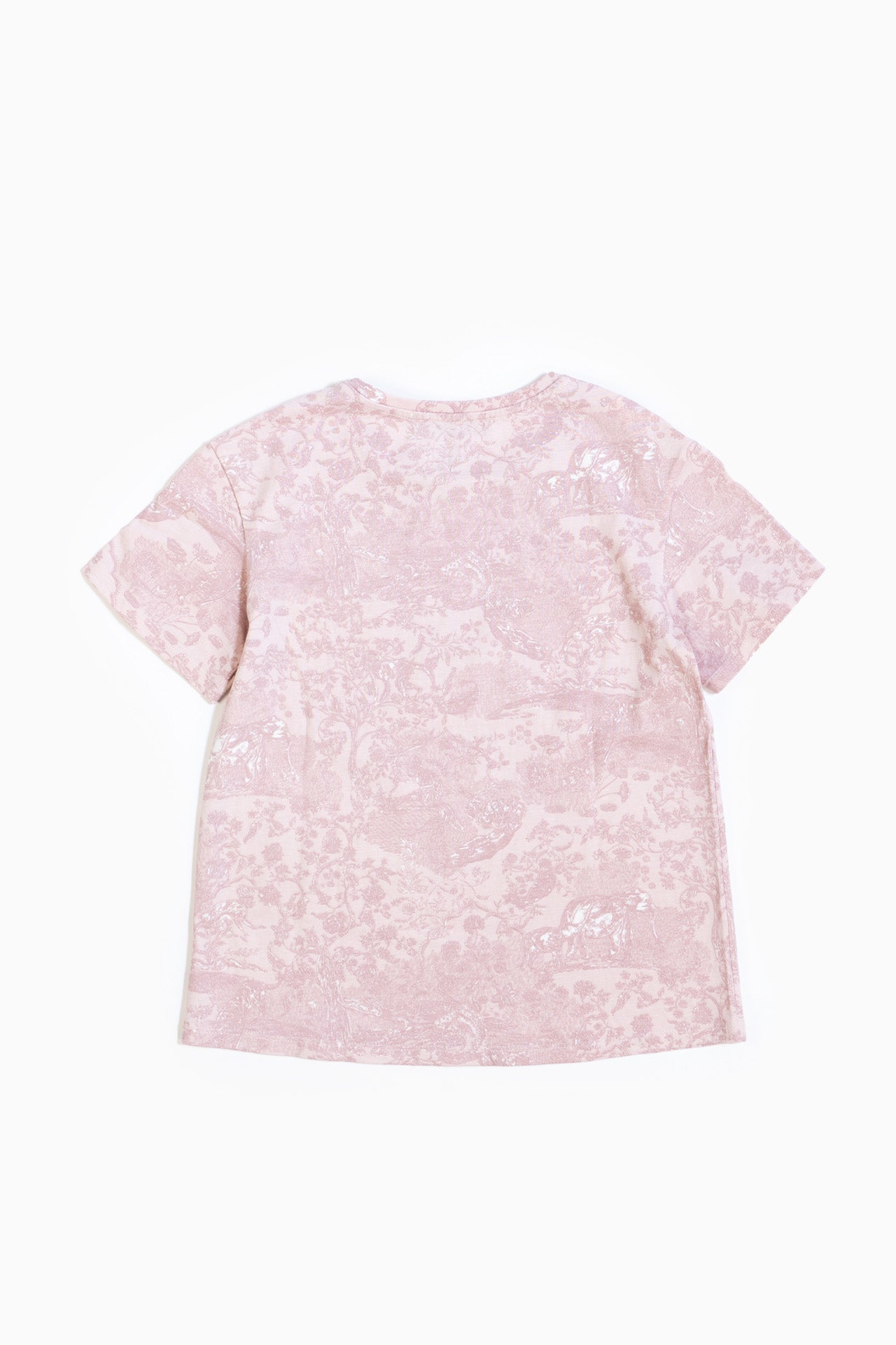 Christian Dior Printed T-Shirt In Pink