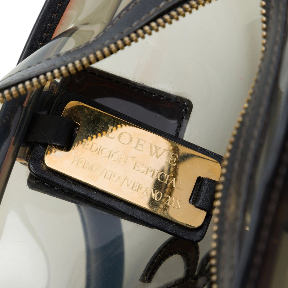 Loewe Amazona PVC Bag